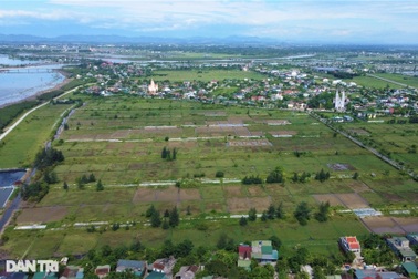 Dân bỏ nghề "làm một ngày ăn cả năm", 80ha đất bị bỏ hoang