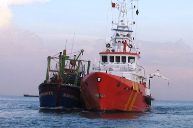 Tàu cá Bình Định bị tàu nước ngoài đâm chìm, 8 ngư dân thoát nạn