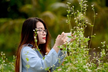 Giới trẻ Sài Gòn "sống ảo" bên vườn hoa tam giác mạch