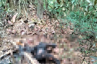 Tìm người nhà nạn nhân chết cháy trong rừng Mã Đà