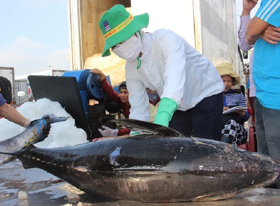 2 tàu cá bị xóa số đăng ký vì vi phạm vùng biển Malaysia - 2