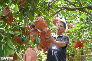 Người đàn ông trở thành triệu phú từ món quà của cha