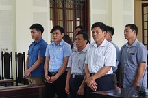 Lập hồ sơ khống để lấy tiền bồi thường, hàng loạt cán bộ giữ rừng lĩnh án