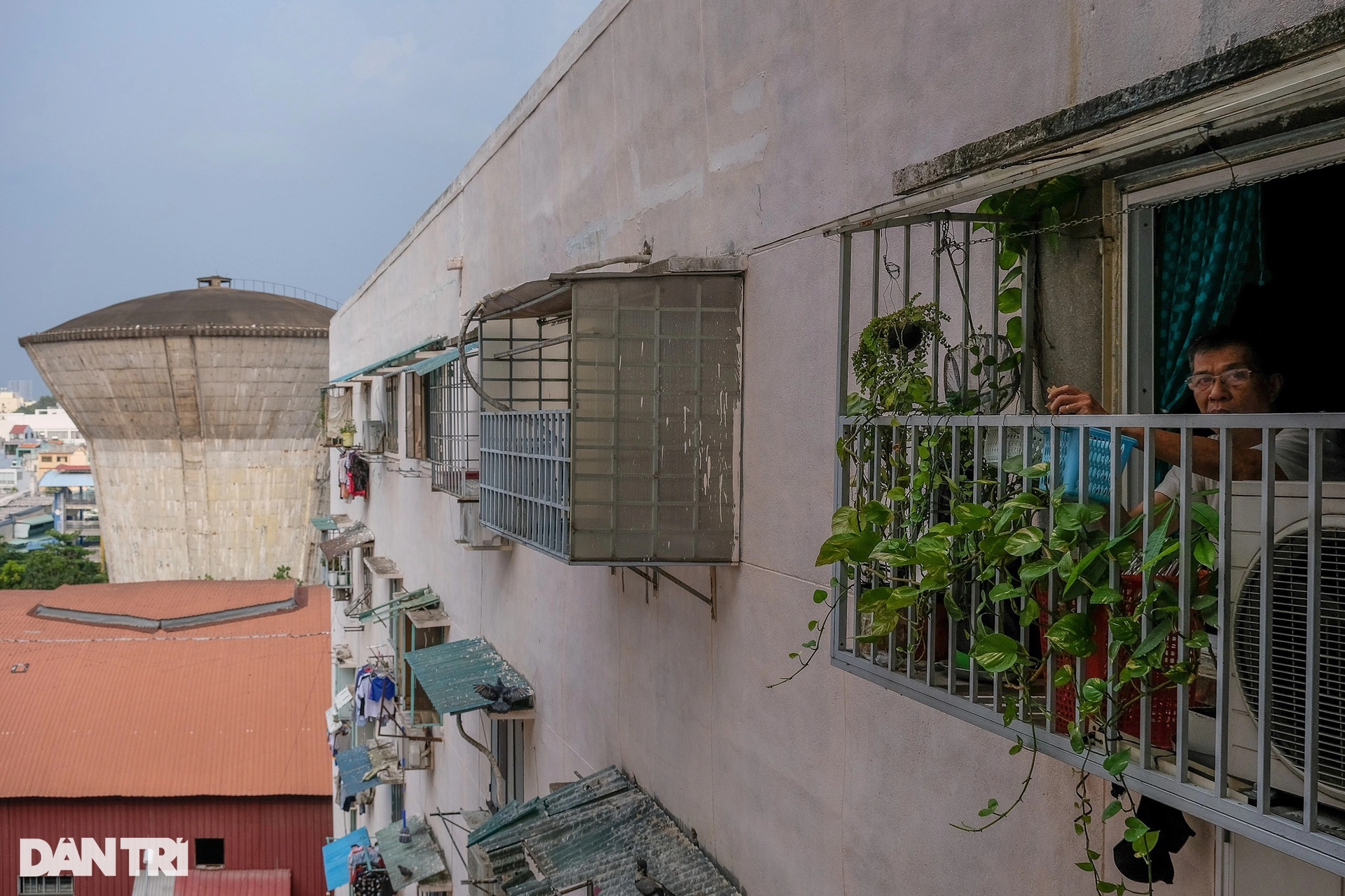 Những cây nấm bê tông giữa lòng TPHCM - 7 Những cây nấm bê tông giữa lòng TPHCM - 7