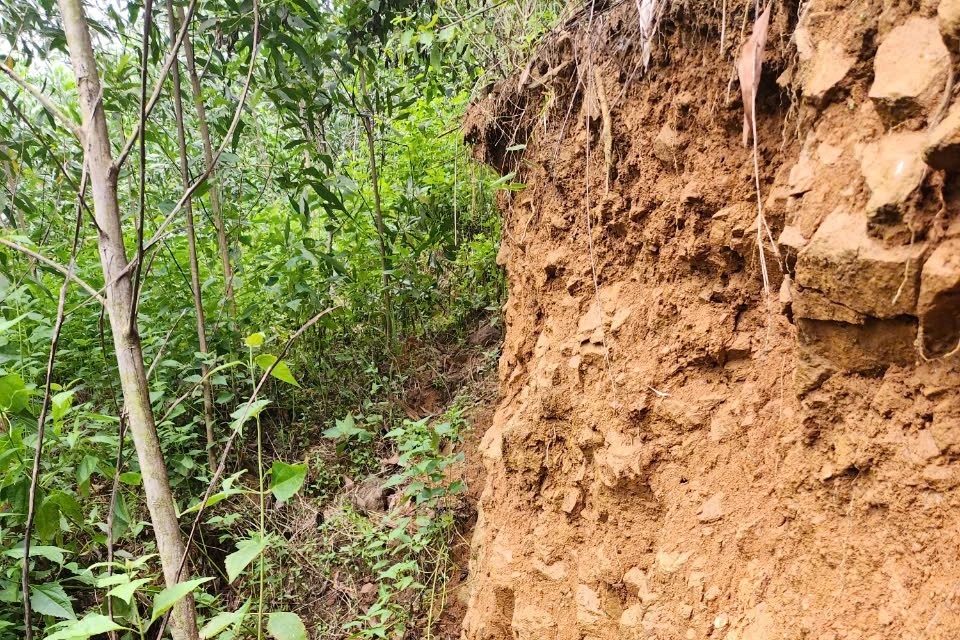 Quang Ngai: 60 metre uzunluğundaki dağ çatlağı anaokulunu ve birçok evi tehdit ediyor - 2 Quảng Ngãi: Núi nứt dài 60m đe dọa trường mầm non, nhiều nhà dân - 2