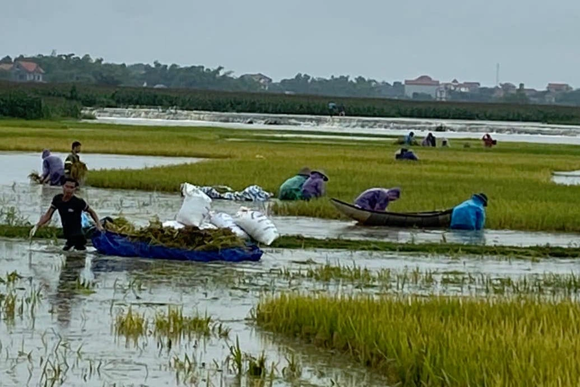 Công an, bộ đội dầm nước lũ cứu lúa giúp dân - 2 Công an, bộ đội dầm nước lũ cứu lúa giúp dân - 2