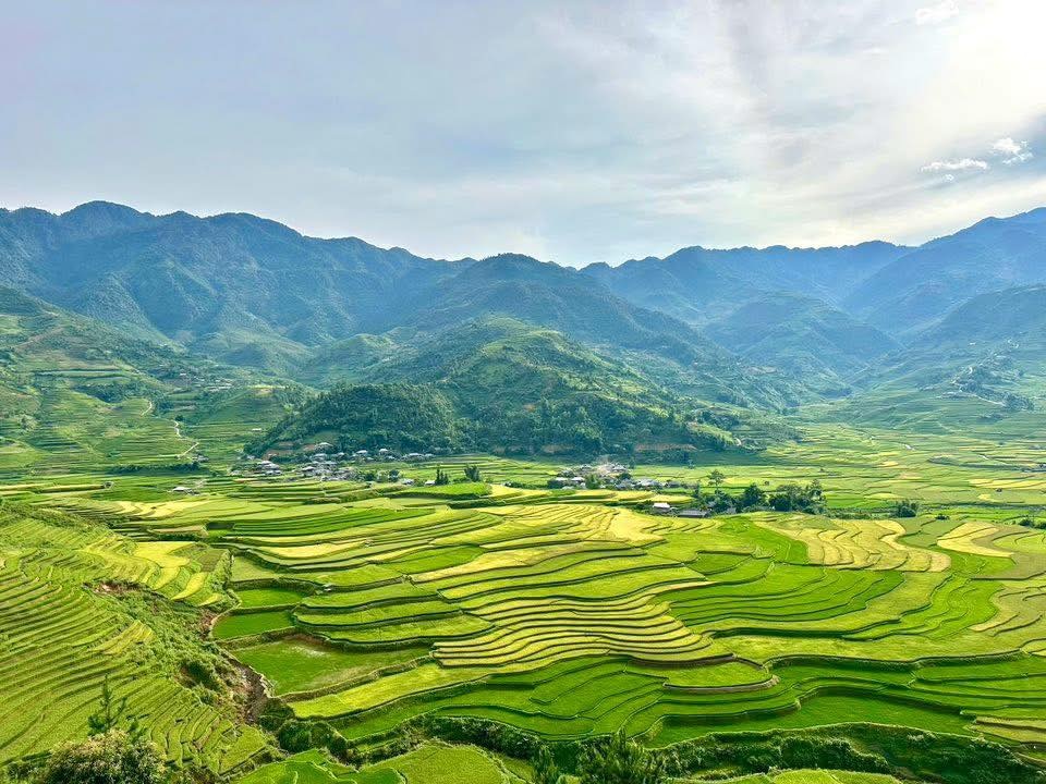 Lần đầu đến Mù Cang Chải, khách miền Tây bất ngờ với món ăn từ... côn trùng - 3