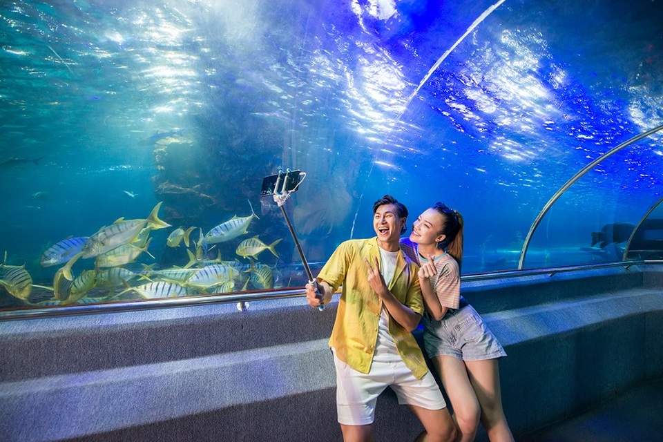 Bộ sưu tập ảnh nghỉ dưỡng đảo siêu sang ở Vinpearl Nha Trang - 6 Bộ sưu tập ảnh nghỉ dưỡng đảo siêu sang ở Vinpearl Nha Trang - 6