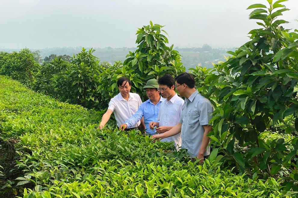 Lai Châu: Huy động mọi nguồn lực giảm nghèo bền vững - 1