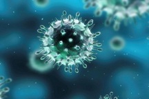 Bệnh cúm: Vòng tròn của sự chủ quan và nỗi sợ hãi