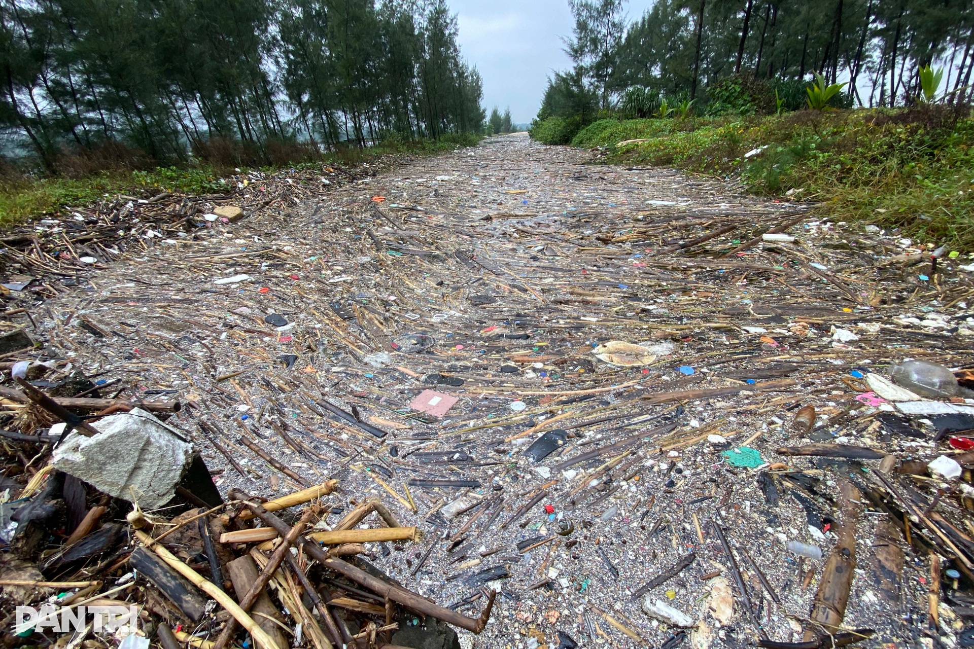 Rừng phòng hộ biến mất, sóng biển đe dọa khu dân cư - 9