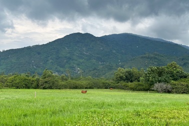 Đồng Nai sẽ đấu giá 37 lô đất để thu về hơn 21.000 tỷ đồng