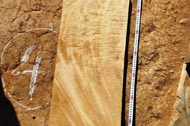 Mâu thuẫn trong đám giỗ, thanh niên dùng khúc gỗ đánh chết người