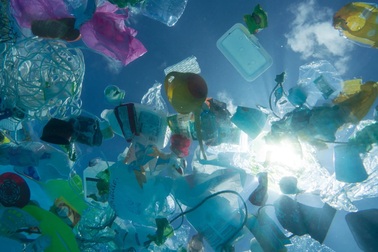 Doanh nghiệp tích cực hành động giảm thiểu rác thải nhựa