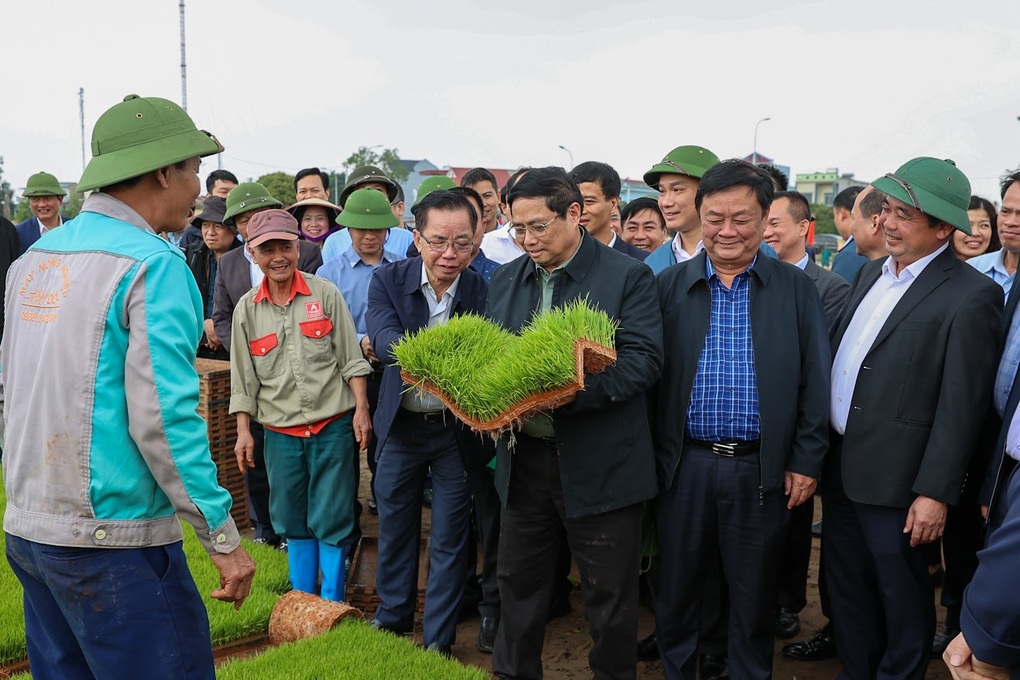 Thủ tướng xuống đồng cấy lúa, thu hoạch cà rốt cùng nông dân - 2