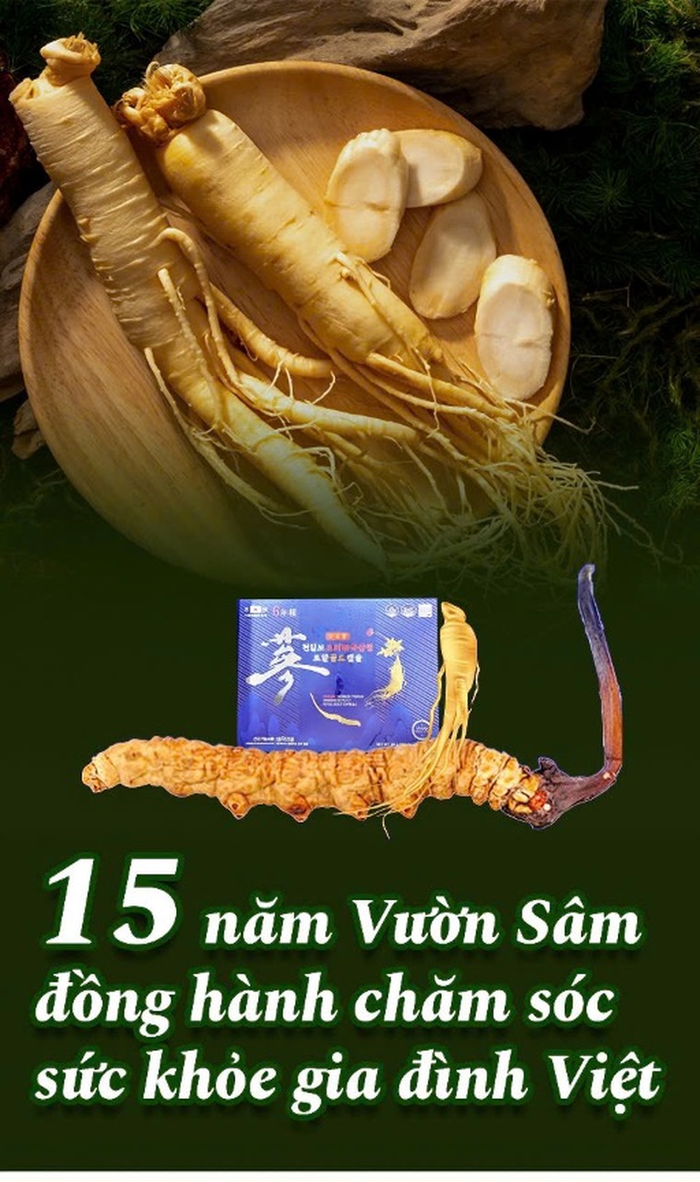 Vườn Sâm - Kết nối tình thân bằng món quà sức khỏe ý nghĩa - 4 Vườn Sâm - Kết nối tình thân bằng món quà sức khỏe ý nghĩa - 4