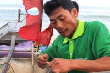 Cá về, ngư dân vui trở lại