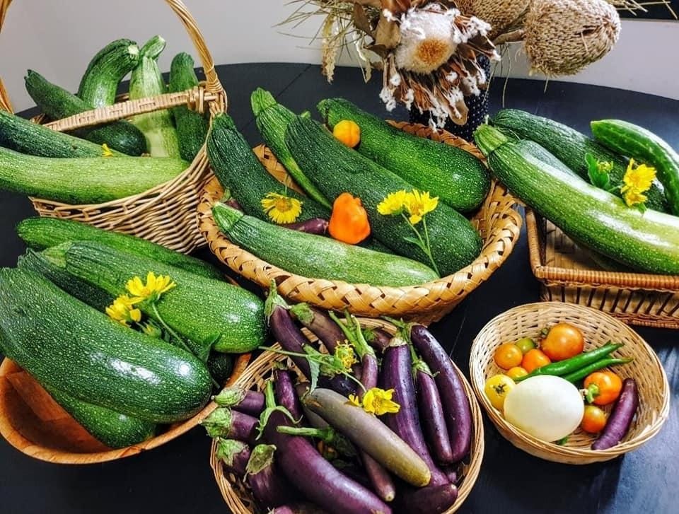 Sang Úc sinh sống, mẹ Việt trổ tài làm vườn rộng 2000 m2 ngập hoa trái - 1 Sang Úc sinh sống, mẹ Việt trổ tài làm vườn rộng 2000 m2 ngập hoa trái - 1