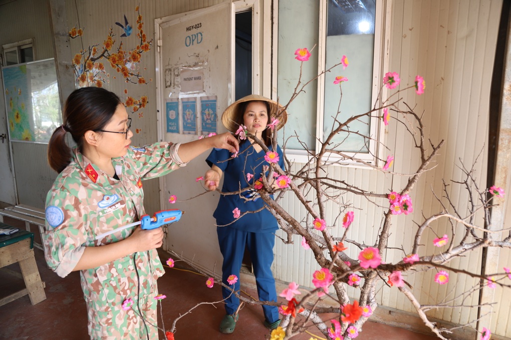 Lính mũ nồi xanh trang trí mai, đào trên cành cây rừng châu Phi - 1 Lính mũ nồi xanh trang trí mai, đào trên cành cây rừng châu Phi - 1
