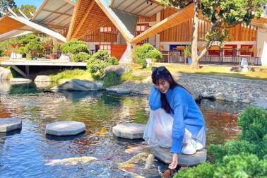 Vừa uống cà phê vừa ngắm cá Koi "khủng" giữa phố núi Đà Lạt