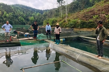 Văn Lãng (Lạng Sơn): Hỗ trợ hộ nghèo theo hướng đa chiều