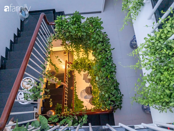 Giữa Sài Gòn náo nhiệt, vẫn có căn nhà ống 20m2 với 4 tầng lầu cực chill và không gian xanh mát chỉ với 20 triệu mua cây xanh - Ảnh 7. Giữa Sài Gòn náo nhiệt, vẫn có căn nhà ống 20m2 với 4 tầng lầu cực chill và không gian xanh mát chỉ với 20 triệu mua cây xanh - Ảnh 7.