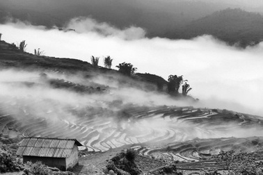 Lên rừng ngắm “biển mây” Ý Tý