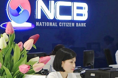 Chân dung đại gia Đông Âu của tập đoàn Gami