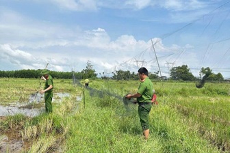 Truy quét "ma trận" bẫy lưới tận diệt chim trời ở Quảng Trị