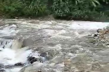 Cô giáo vùng cao bám thân cây vượt suối đến lớp