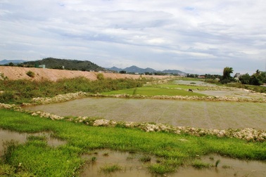 Quốc lộ nghìn tỷ “chặn” dòng thoát lũ, dân bỏ ruộng hoang?