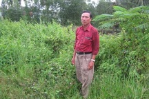 Một thương binh khiếu nại việc mất đất, mất chế độ chính sách: UBND tỉnh Sóc Trăng chỉ đạo làm rõ   