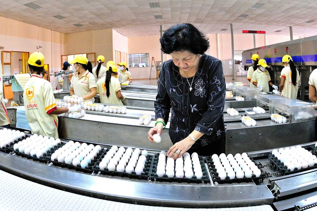 Společnost Ba Huan dluží na daních více než 51 miliard VND a je nucena zastavit celní řízení - 1 Công ty Ba Huân nợ thuế hơn 51 tỷ đồng, bị cưỡng chế ngừng thủ tục hải quan - 1