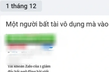 Giám đốc ban quản lý rừng lên mạng chửi bới giám đốc sở
