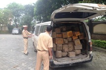 Vận chuyển gỗ lậu, nữ tài xế lạng lách chạy trốn công an