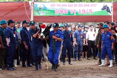 Hoa hậu Bò sữa Mộc Châu 2017: Tưng bừng Cuộc thi của những hoa hậu “ngàn cân”