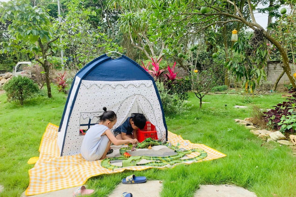 Trốn khói bụi, giám đốc ở Hà Nội về quê làm vườn 3.500m2 ngập hoa trái - 7