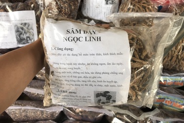 Sâm “công nghiệp” bán tràn lan gần chân núi Ngọc Linh