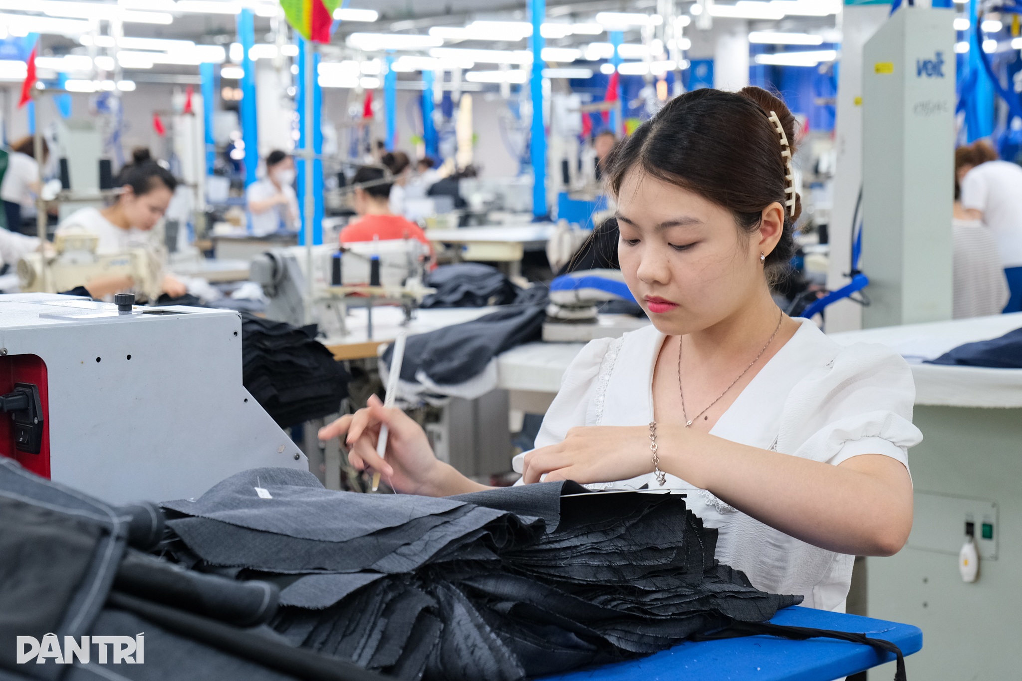 Υπουργός Ντάο Νγκοκ Ντουνγκ: Εξαλείψτε τον φόβο των λαθών, συζητήστε μόνο για δράση, όχι για υποχώρηση! - 2 Bộ trưởng Đào Ngọc Dung: Loại bỏ tâm lý sợ sai, chỉ bàn làm, không bàn lùi! - 2