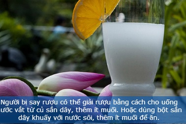 Tác dụng tuyệt vời của sắn dây bạn nên biết