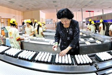 Công ty Ba Huân nợ thuế hơn 51 tỷ đồng, bị cưỡng chế ngừng thủ tục hải quan