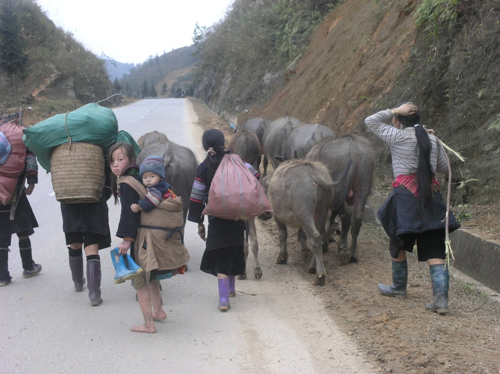 Đỉnh Fansipan lạnh dưới 0 độ C, khả năng có băng tuyết - 3 Đỉnh Fansipan lạnh dưới 0 độ C, khả năng có băng tuyết - 3
