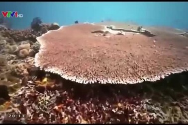 Phạm Thị Hương đẹp nổi bật