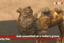 Tìm thấy tượng lạc đà bằng vàng nguyên khối gần lăng mộ Tần Thủy Hoàng