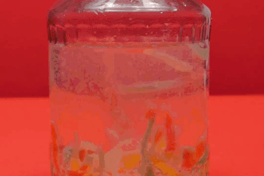 Thí nghiệm vui: “Hồi sinh” những chú sâu kẹo dẻo