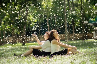 Vạch mặt kẻ lừa tình