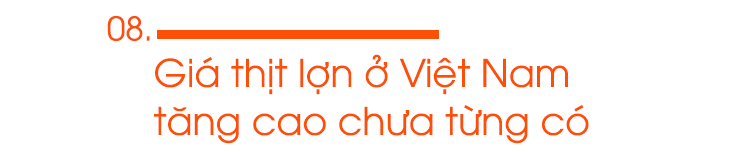 Bức tranh kinh tế 2019: Mảng sáng nhiều hơn mảng tối - 15 Bức tranh kinh tế 2019: Mảng sáng nhiều hơn mảng tối - 15