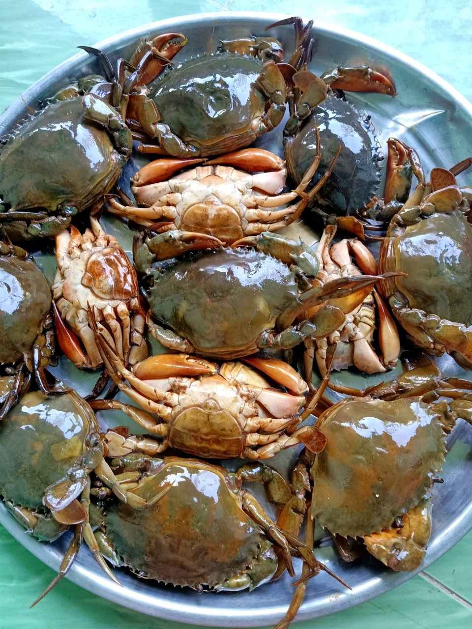 Lạ lùng đặc sản mắm làm từ tôm hùm, cua gạch ngon nức tiếng ở miền Tây - 1 Lạ lùng đặc sản mắm làm từ tôm hùm, cua gạch ngon nức tiếng ở miền Tây - 1