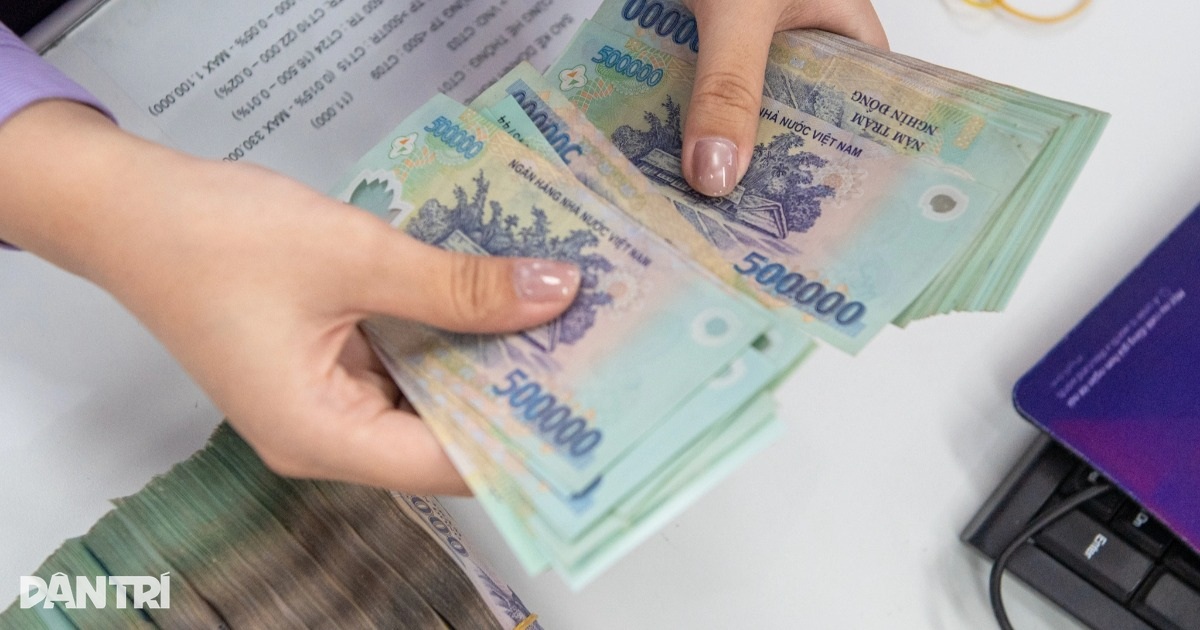 dantri.com.vn