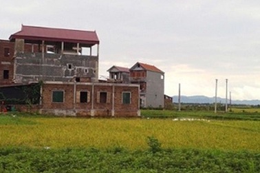 Thanh tra việc đăng ký hợp đồng mẫu tại các dự án trên địa bàn TPHCM